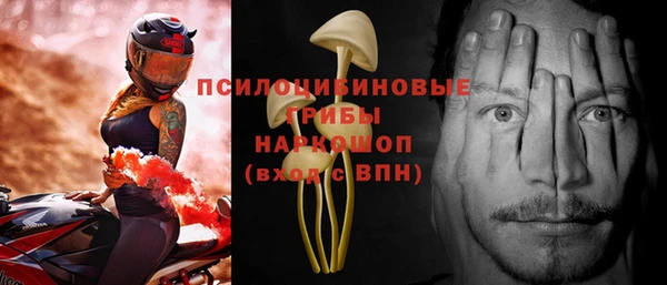 тгк Абаза