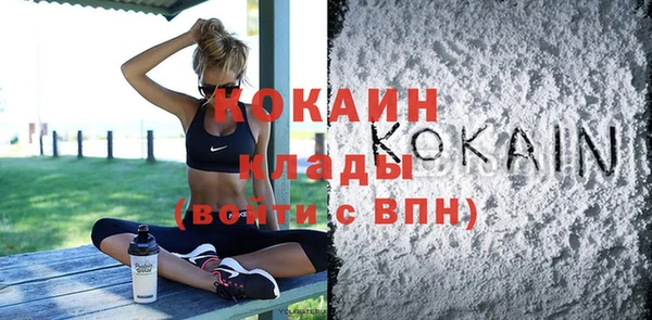 тгк Абаза