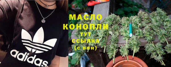 тгк Абаза