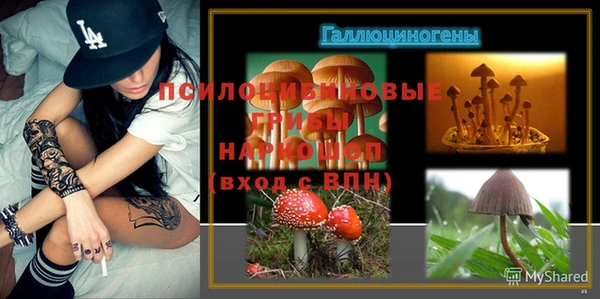 ALPHA PVP Абдулино