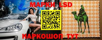 спиды Кандалакша