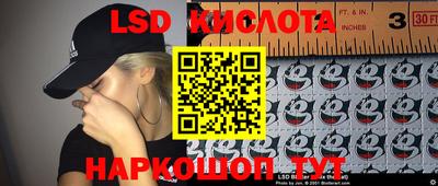 спиды Кандалакша