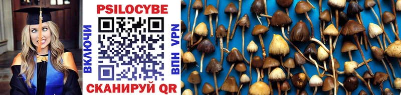 даркнет сайт  Магнитогорск  Галлюциногенные грибы Magic Shrooms 