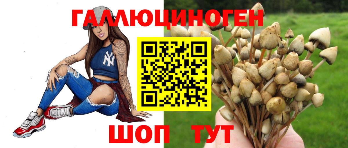 Псилоцибиновые грибы мухоморы  Галлюциногенные грибы мицелий  Магнитогорск  Вход с VPN 